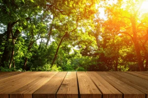 How Seasonal Trends Affect the Demand for Custom Deck Designs - Michigan Decks